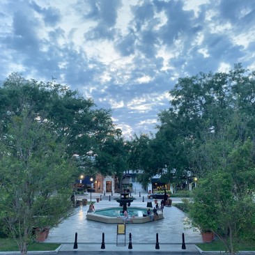 A quarantine evening in Hyde Park in Tampa, Florida.